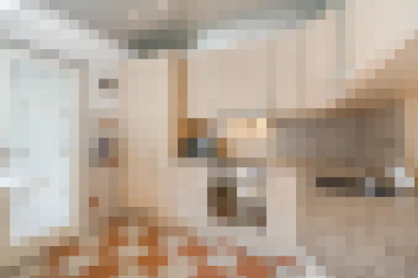 Maasstraat 65 Veghel thumbnail 15