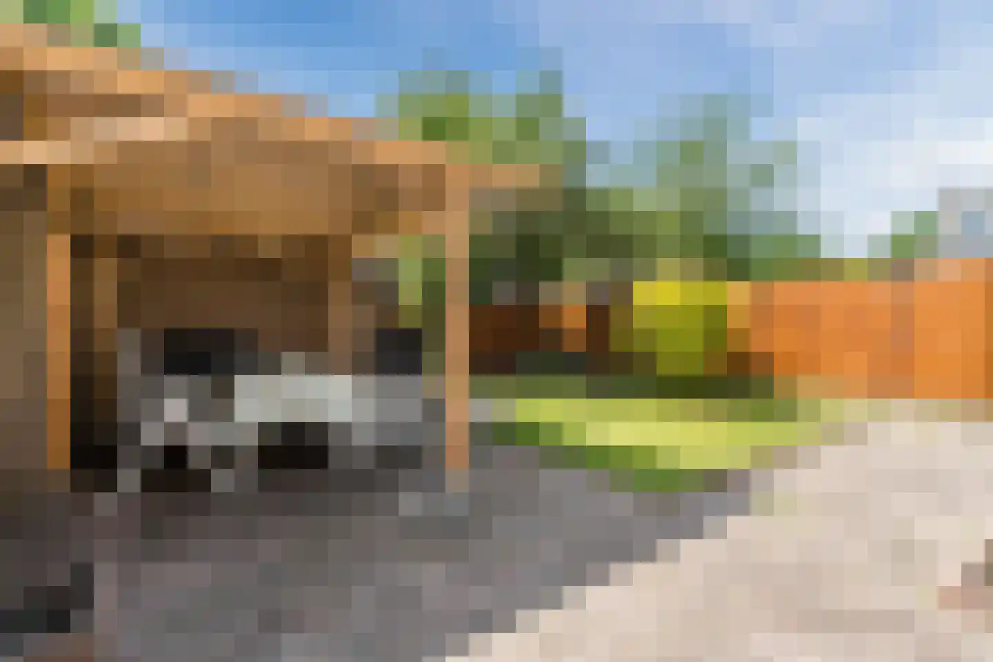 Maasstraat 65 Veghel thumbnail 30