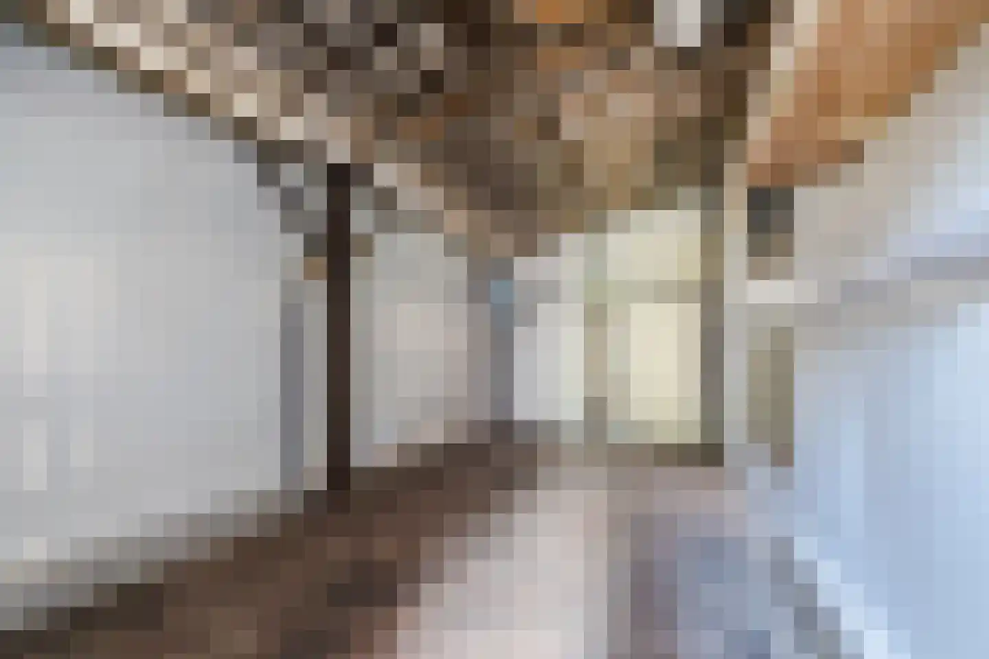 Maasstraat 65 Veghel thumbnail 32