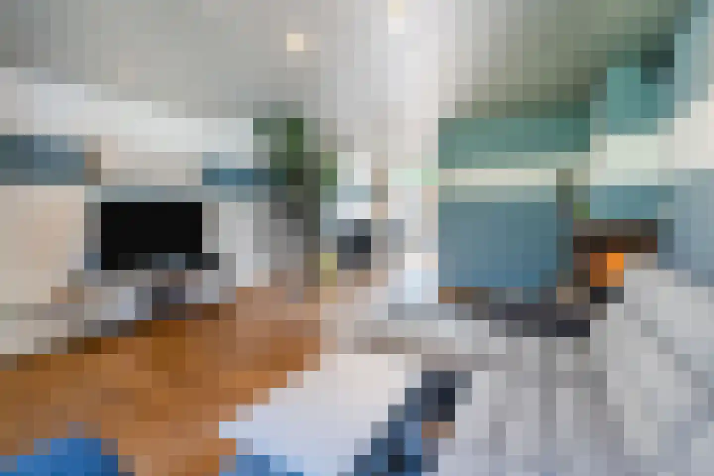 Maasstraat 65 Veghel thumbnail 9