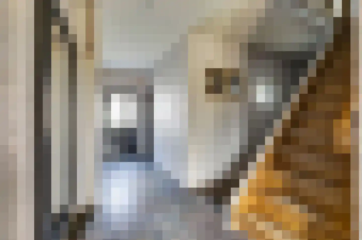 Maasstraat 68 Arcen thumbnail 17