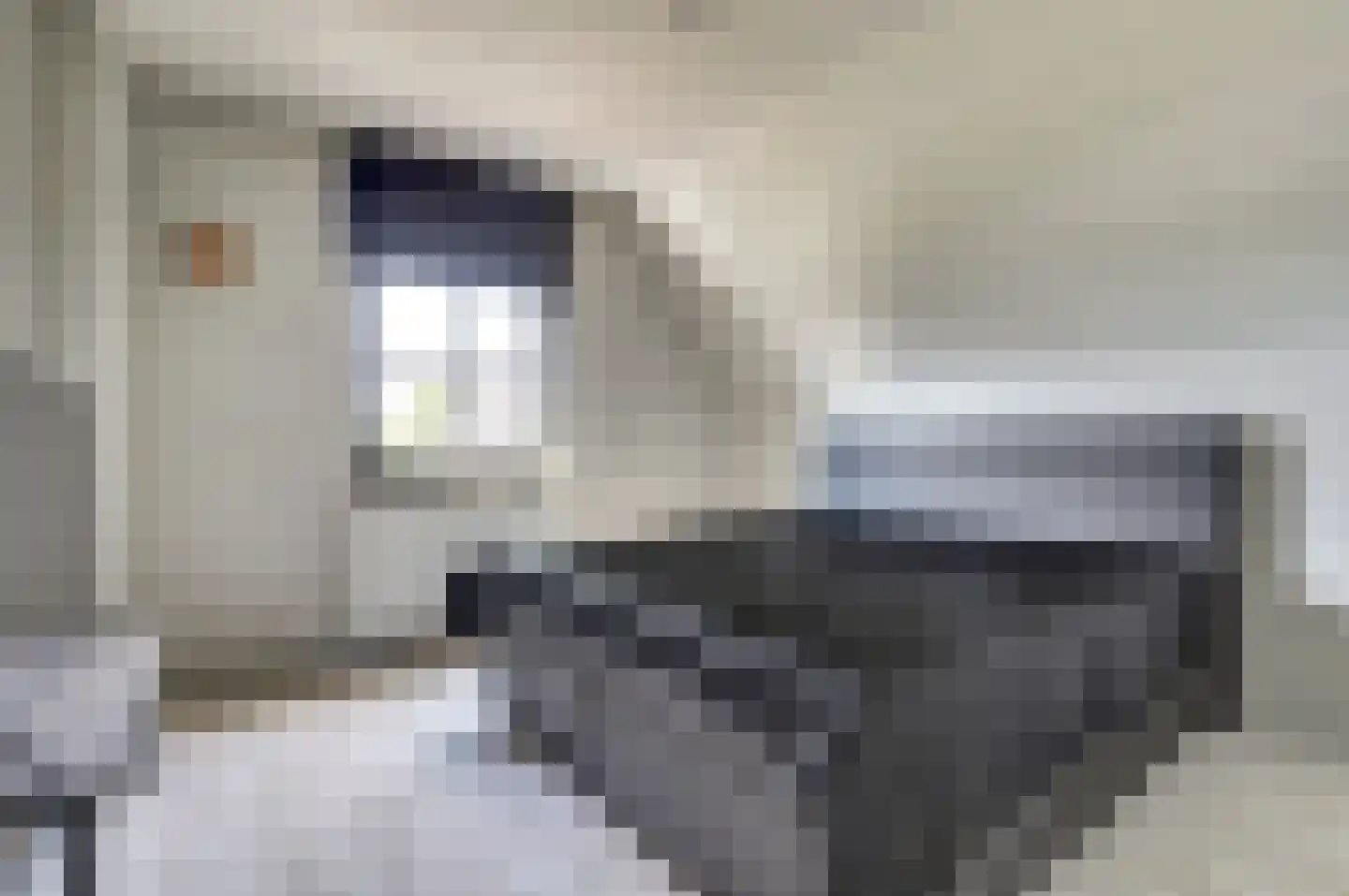 Maasstraat 68 Arcen thumbnail 19
