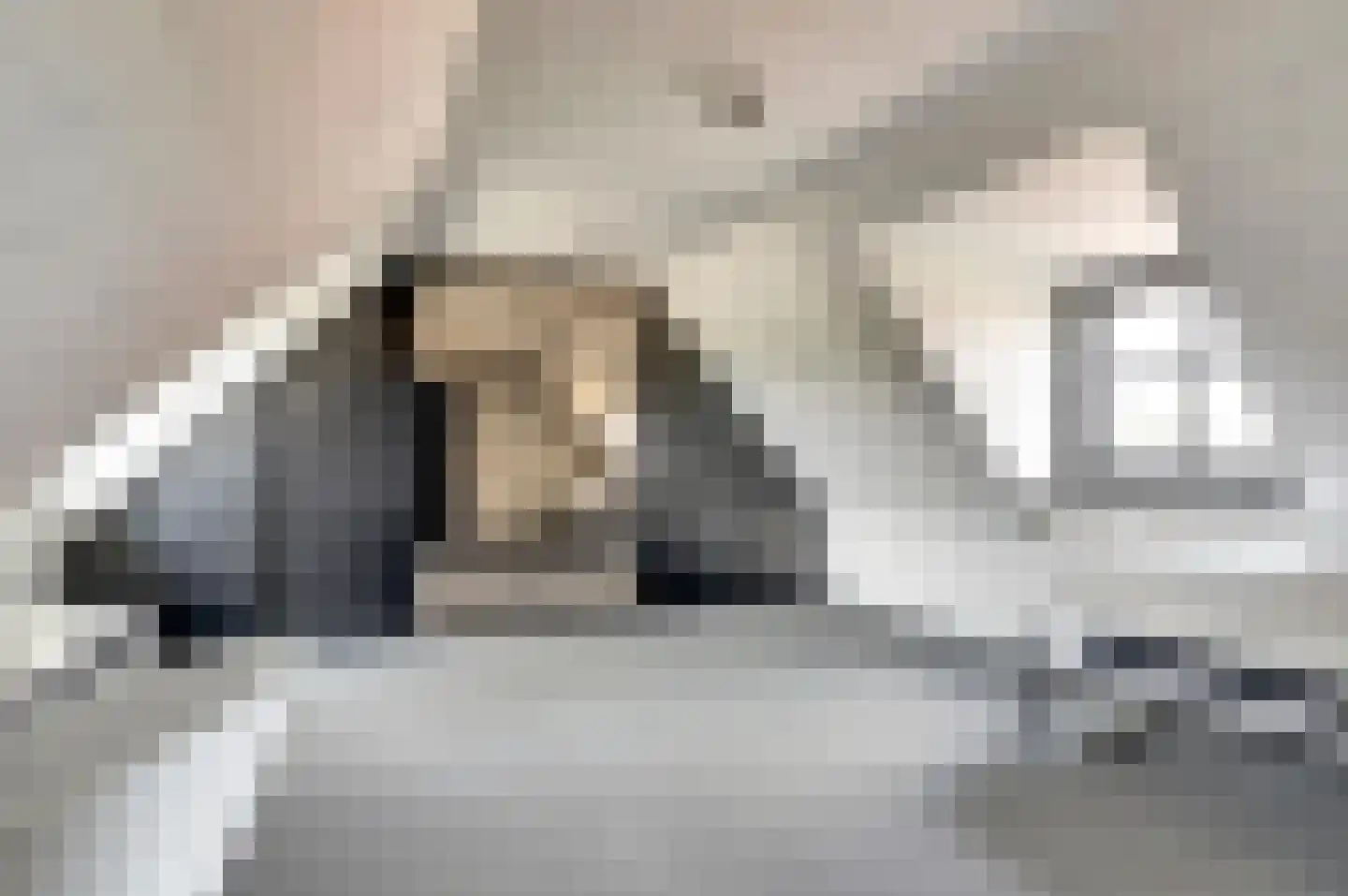 Maasstraat 68 Arcen thumbnail 27