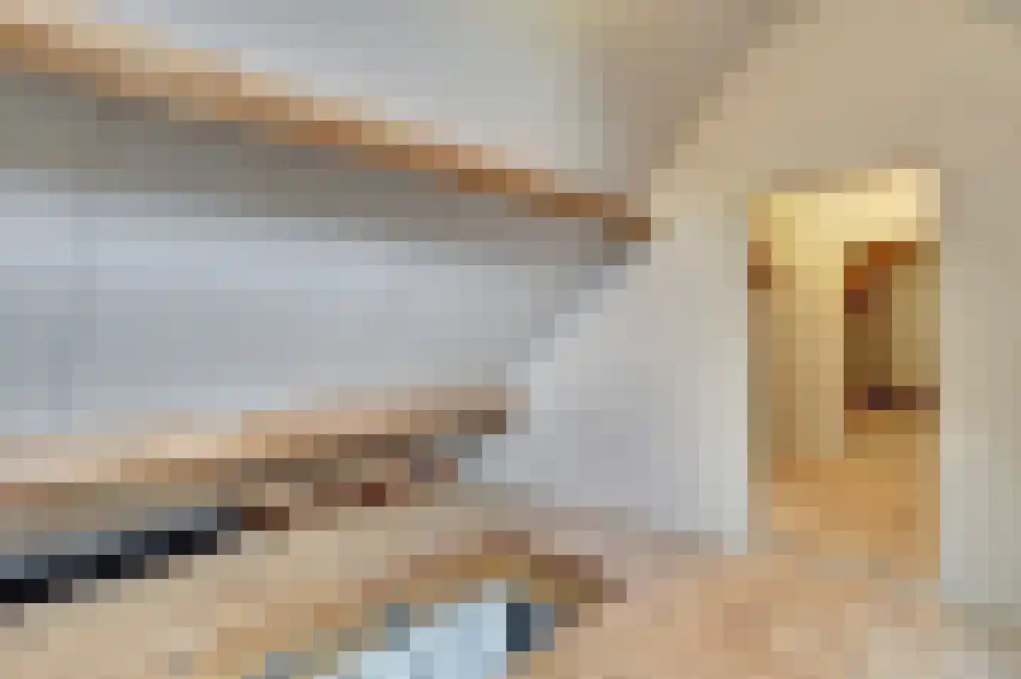 Maasstraat 68 Arcen thumbnail 29