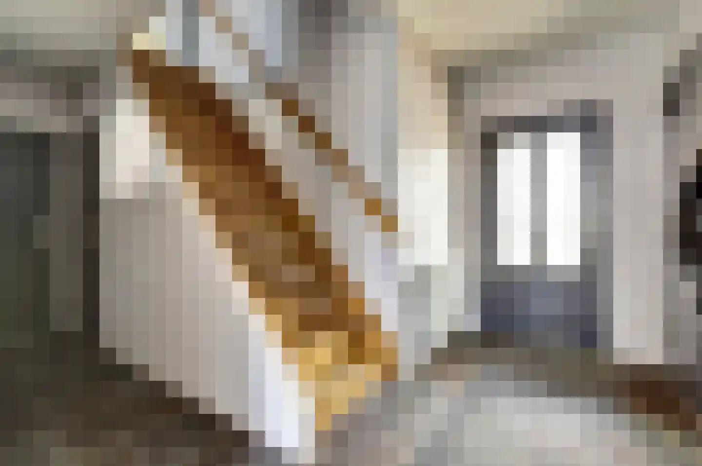 Maasstraat 68 Arcen thumbnail 6