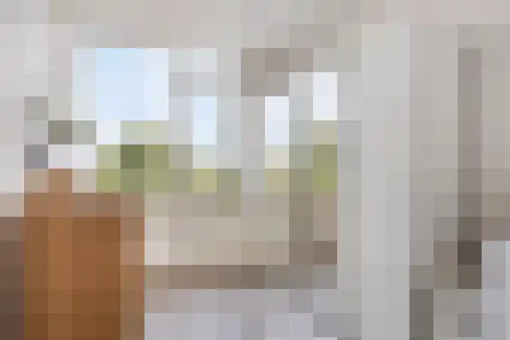 Maasstraat 68 Purmerend thumbnail 18