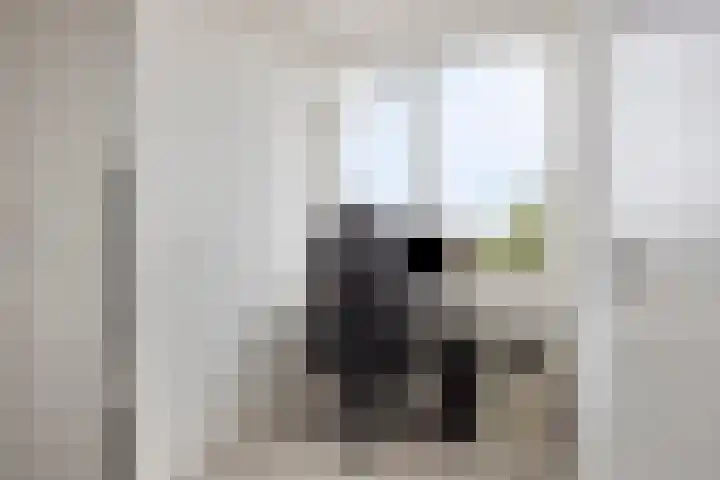 Maasstraat 68 Purmerend thumbnail 20
