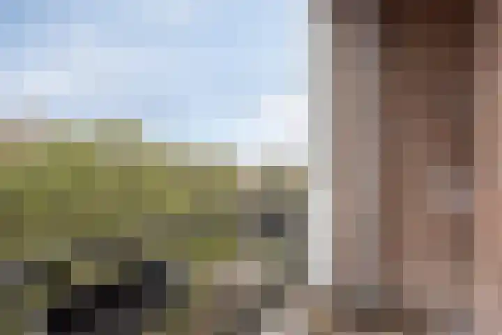 Maasstraat 68 Purmerend thumbnail 22