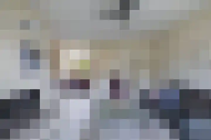 Maasstraat 7 Emmeloord thumbnail 12