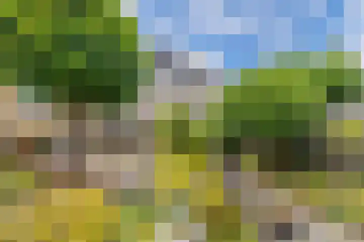 Maasstraat 7 Emmeloord thumbnail 34