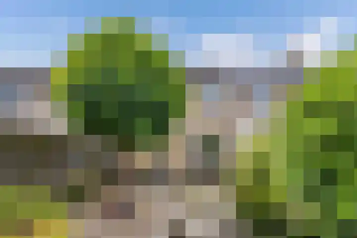 Maasstraat 7 Emmeloord thumbnail 35