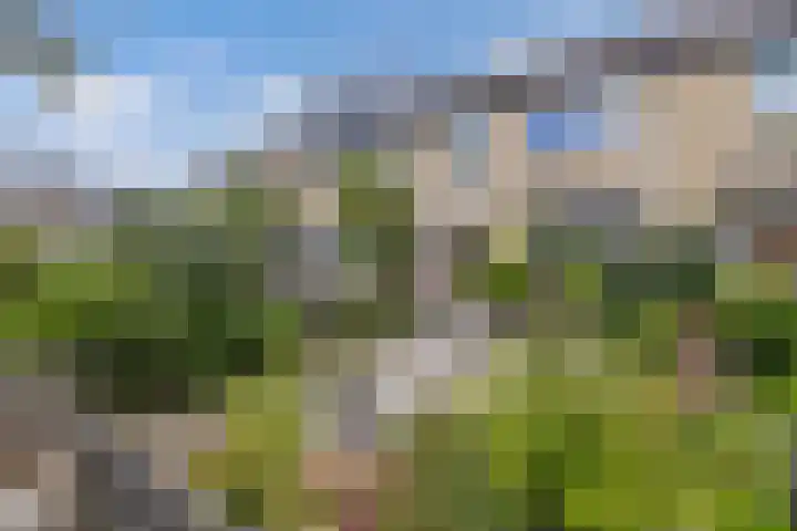 Maasstraat 7 Emmeloord thumbnail 4