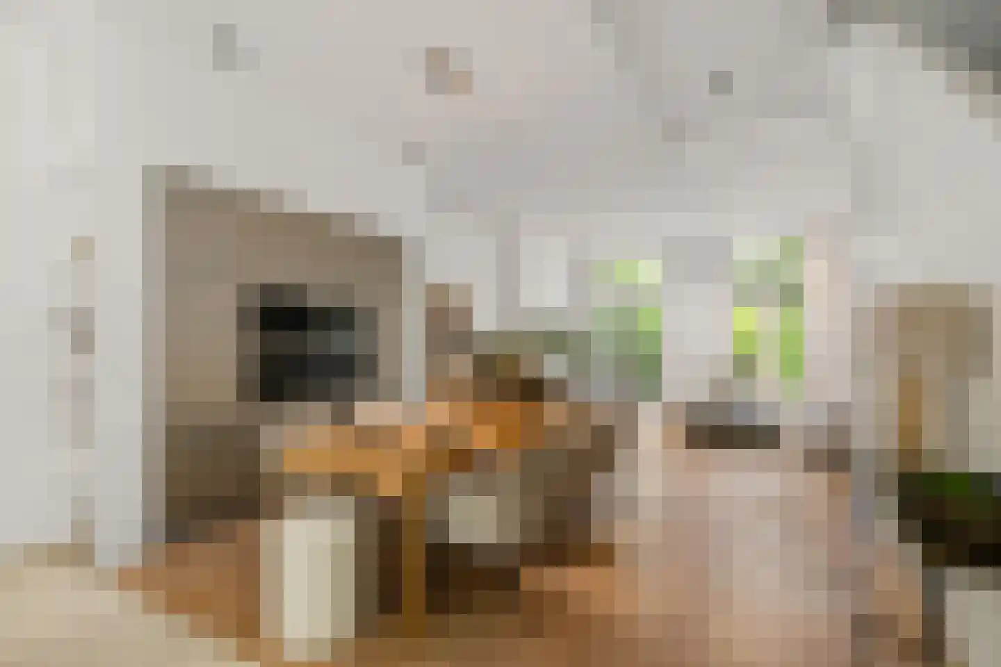 Maasstraat 7 Rotterdam thumbnail 12