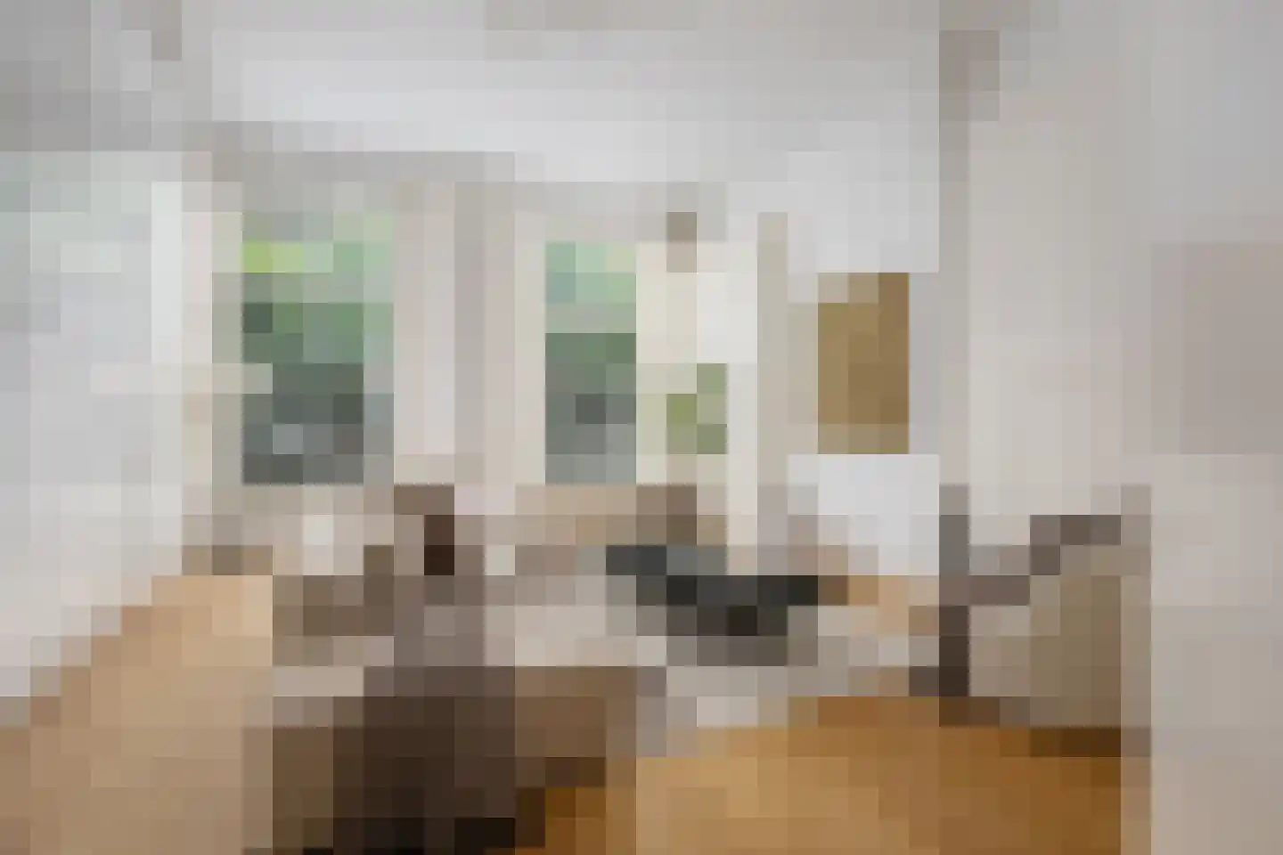 Maasstraat 7 Rotterdam thumbnail 18