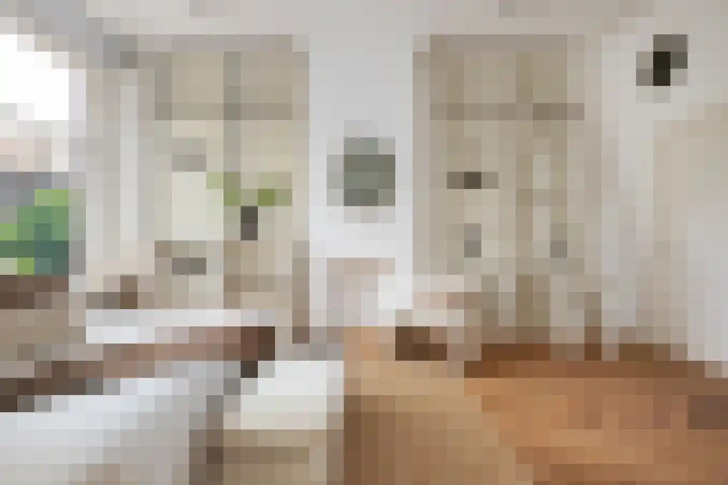 Maasstraat 7 Rotterdam thumbnail 33