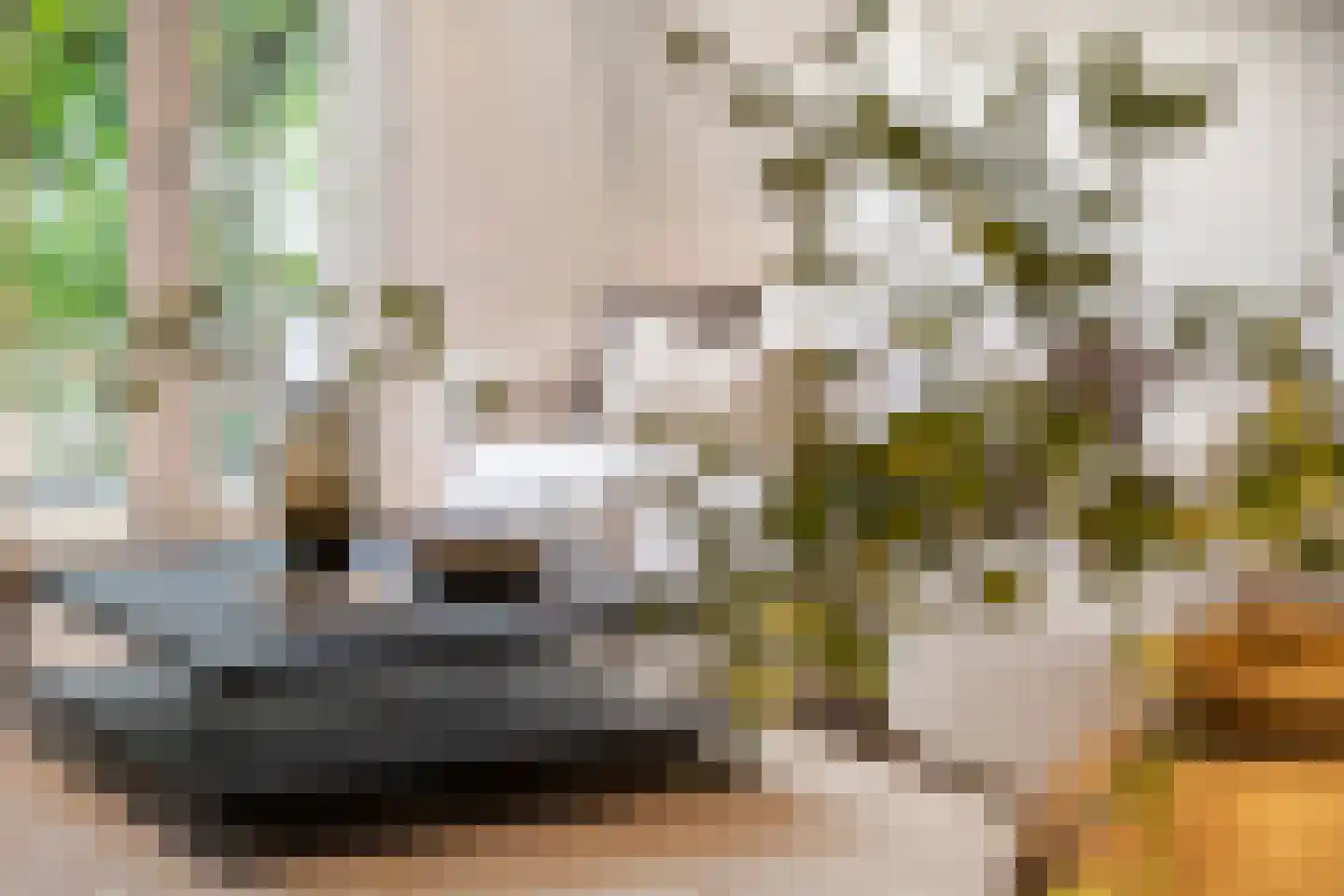 Maasstraat 7 Rotterdam thumbnail 9