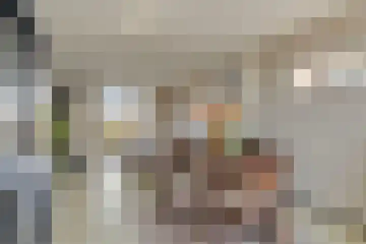 Maasstraat 8 Purmerend thumbnail 13