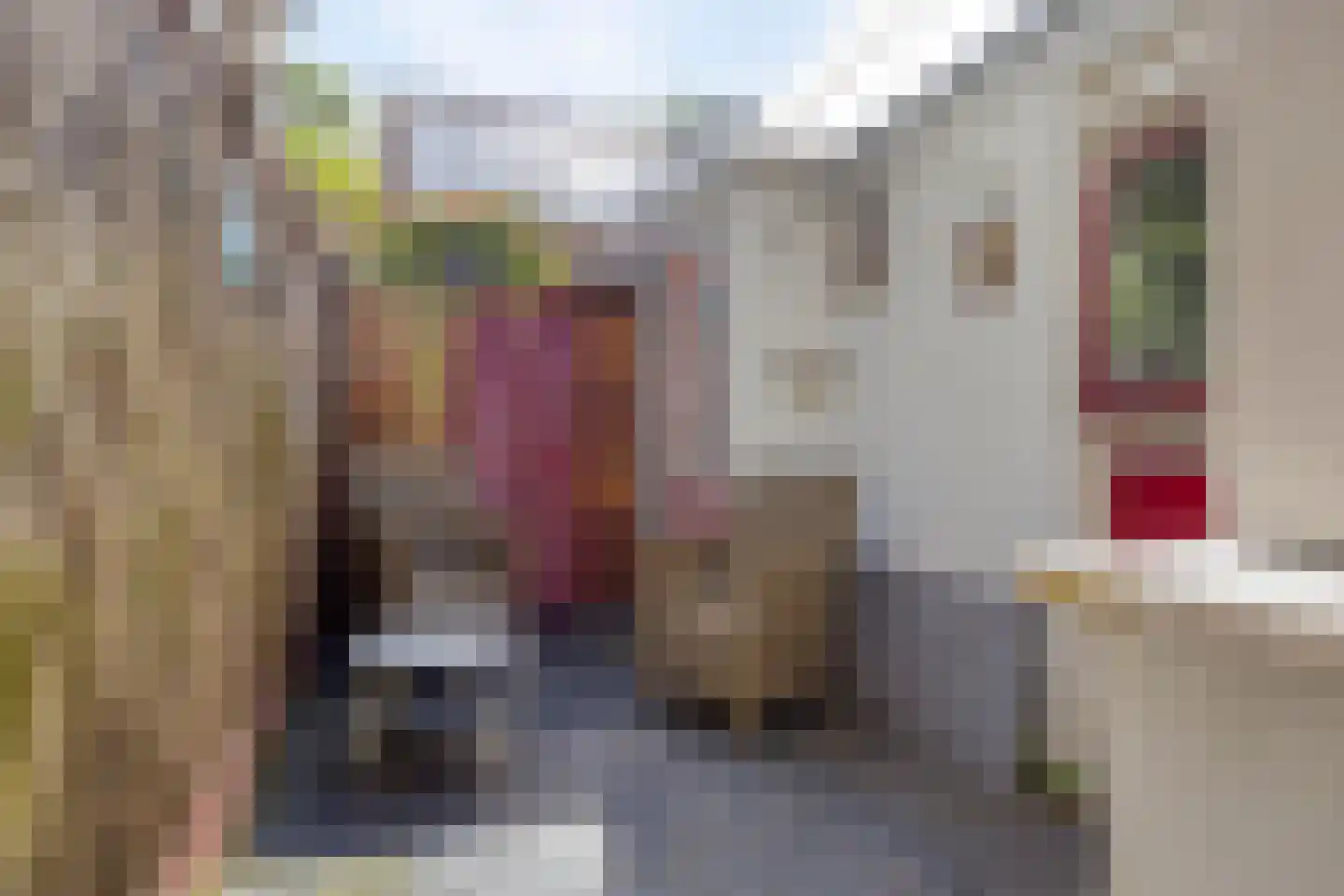 Maasstraat 8 Zaltbommel thumbnail 16