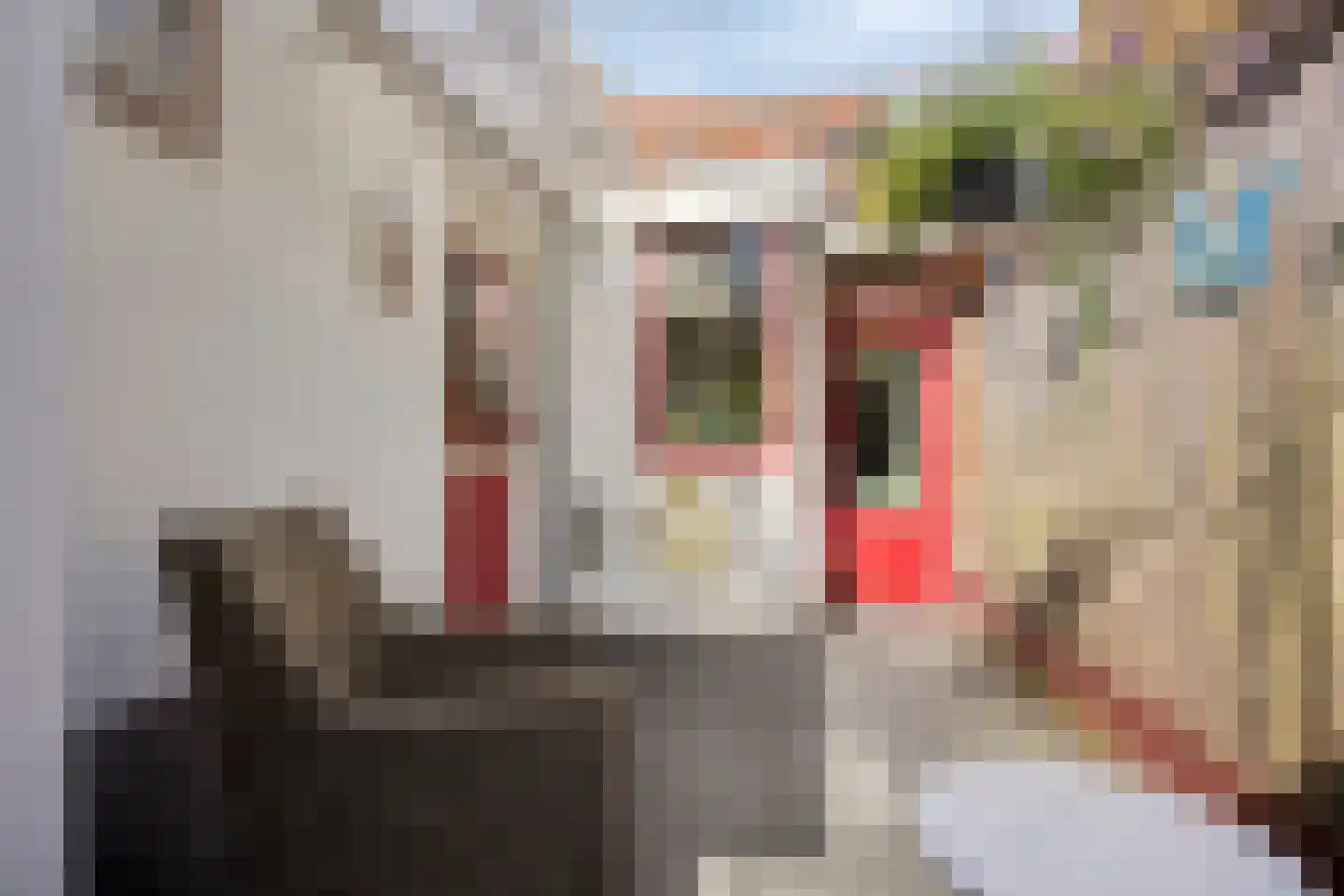 Maasstraat 8 Zaltbommel thumbnail 17