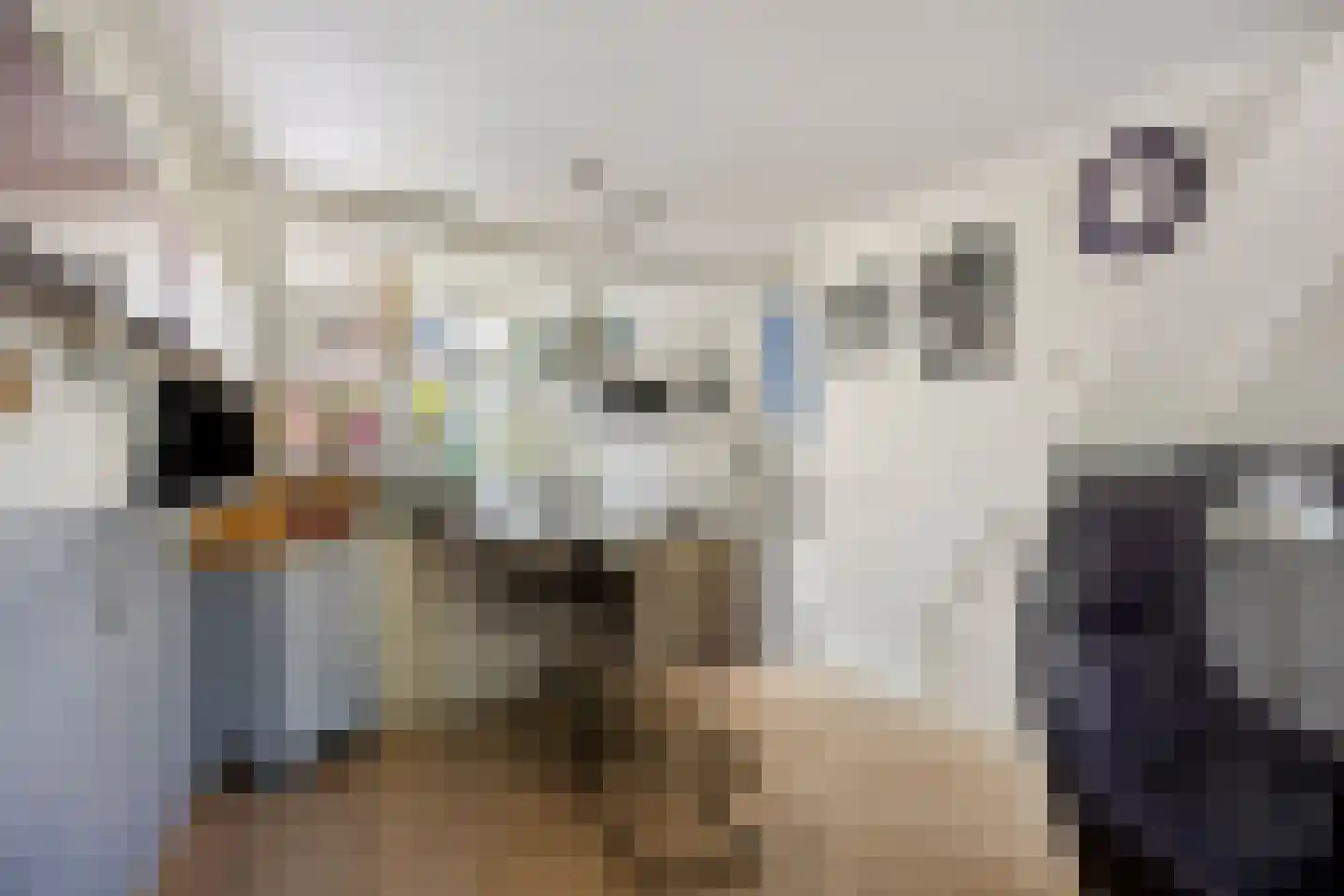Maasstraat 8 Zaltbommel thumbnail 4