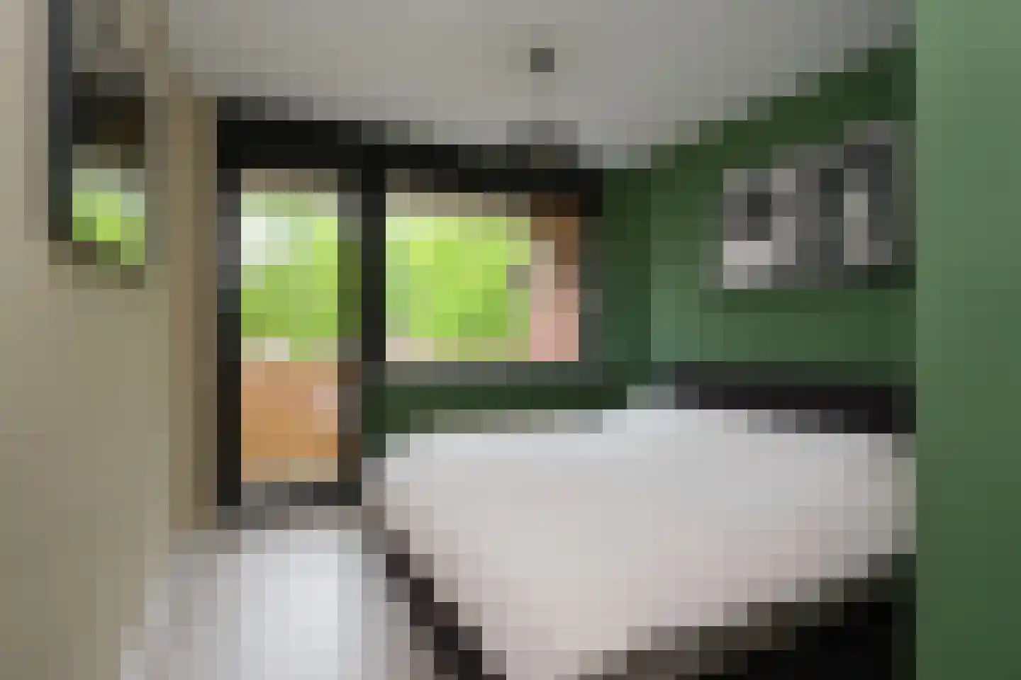 Maasstraat 86 Almelo thumbnail 11