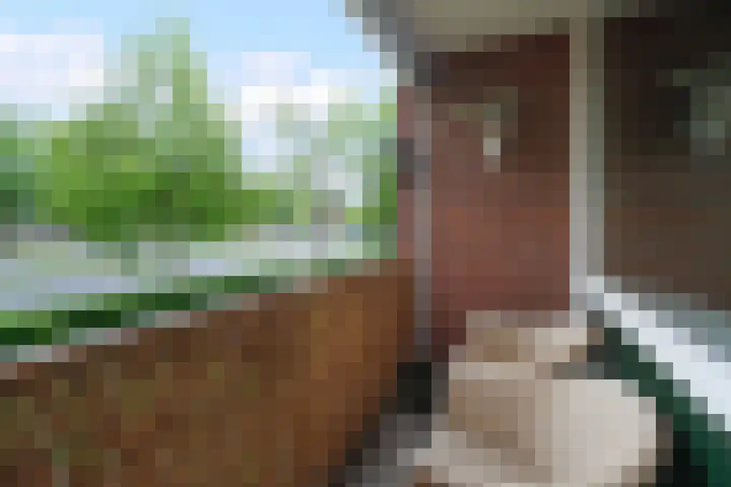 Maasstraat 86 Almelo thumbnail 13