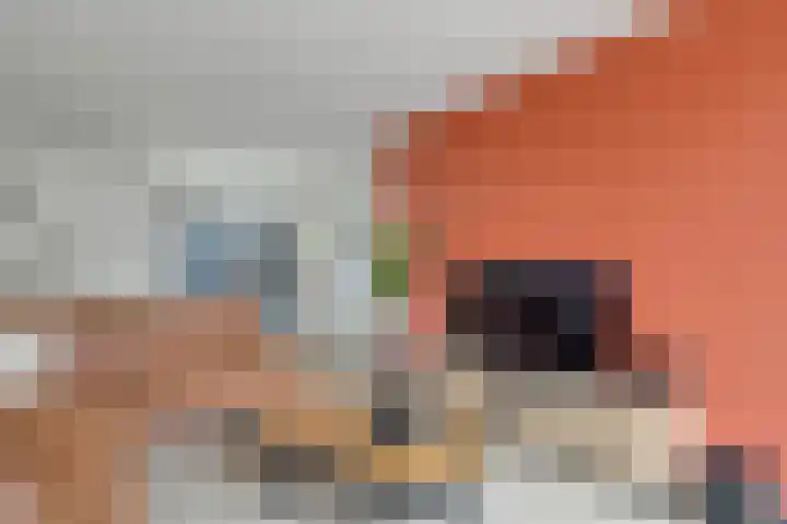 Maasstraat 9 Nijverdal thumbnail 4