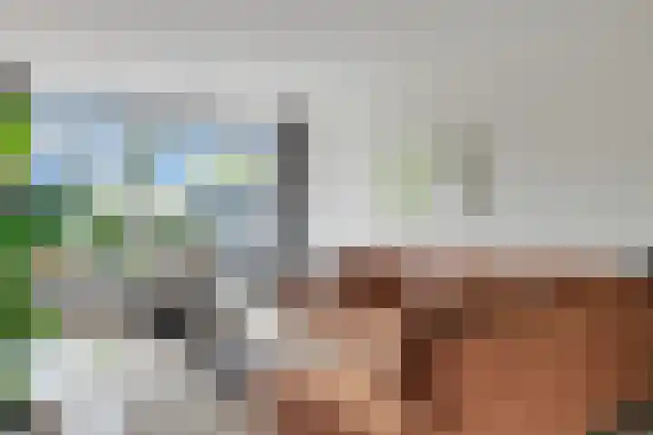 Maasstraat 9 Nijverdal thumbnail 5