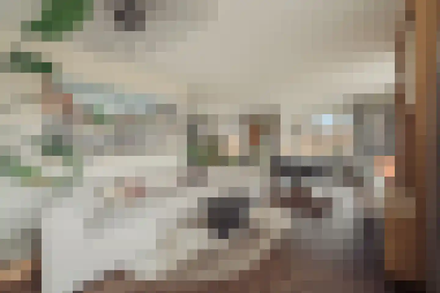 Maasstraat 92 3 Amsterdam thumbnail 4