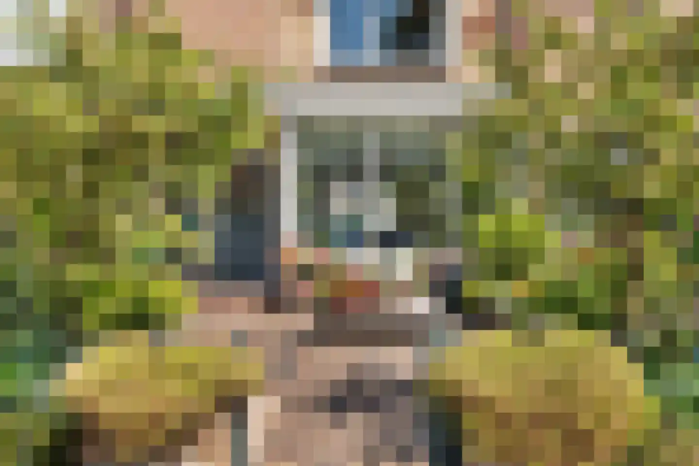 Maasstraat 92 Heemskerk thumbnail 44
