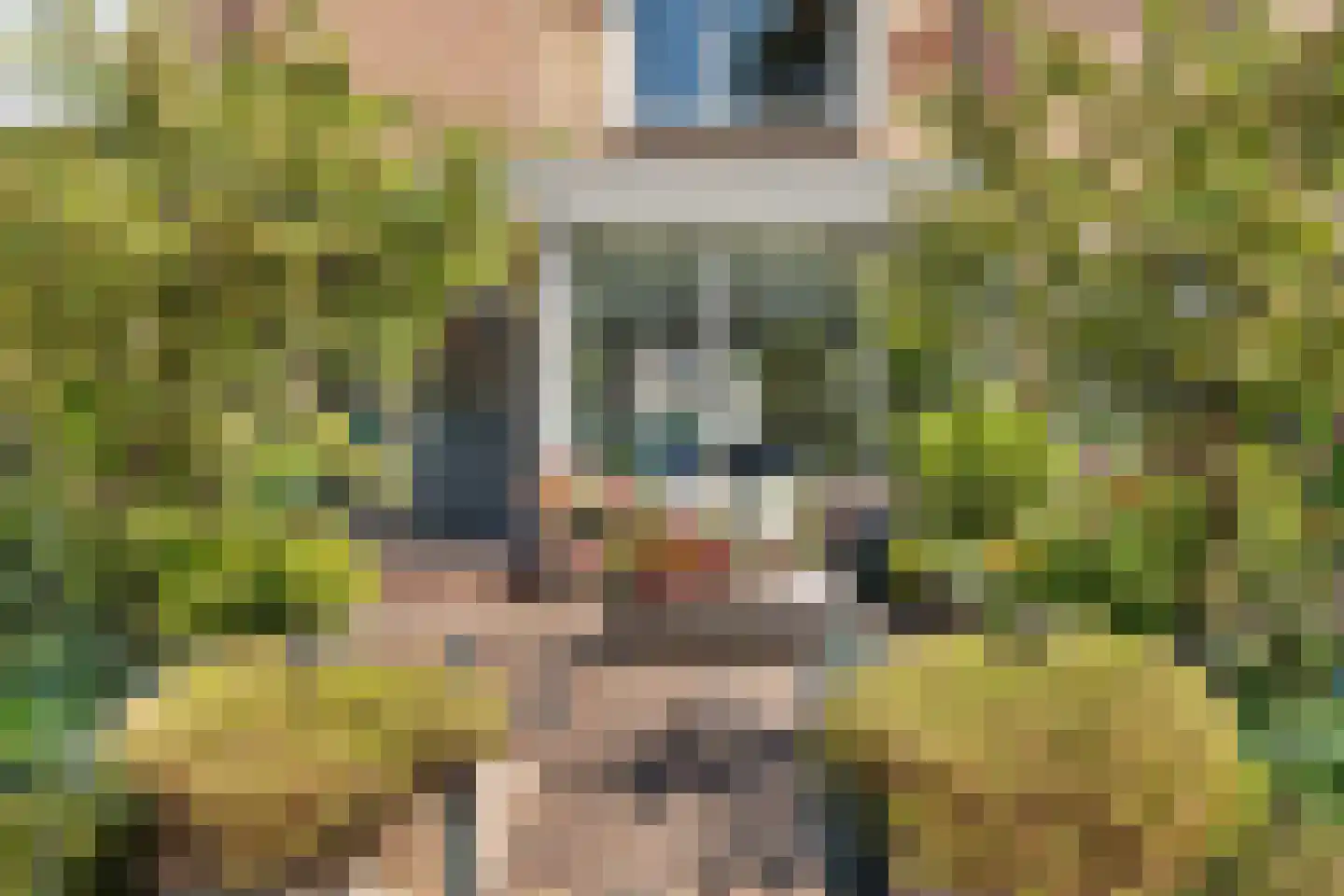 Maasstraat 92 Heemskerk thumbnail 45