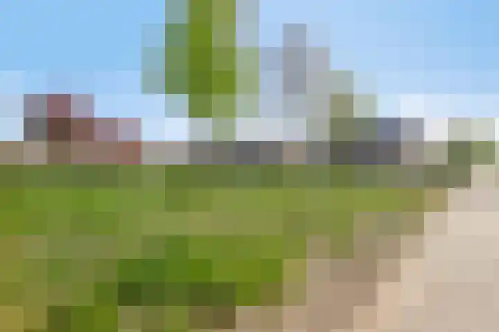 Maasstraat 92 Purmerend thumbnail 26