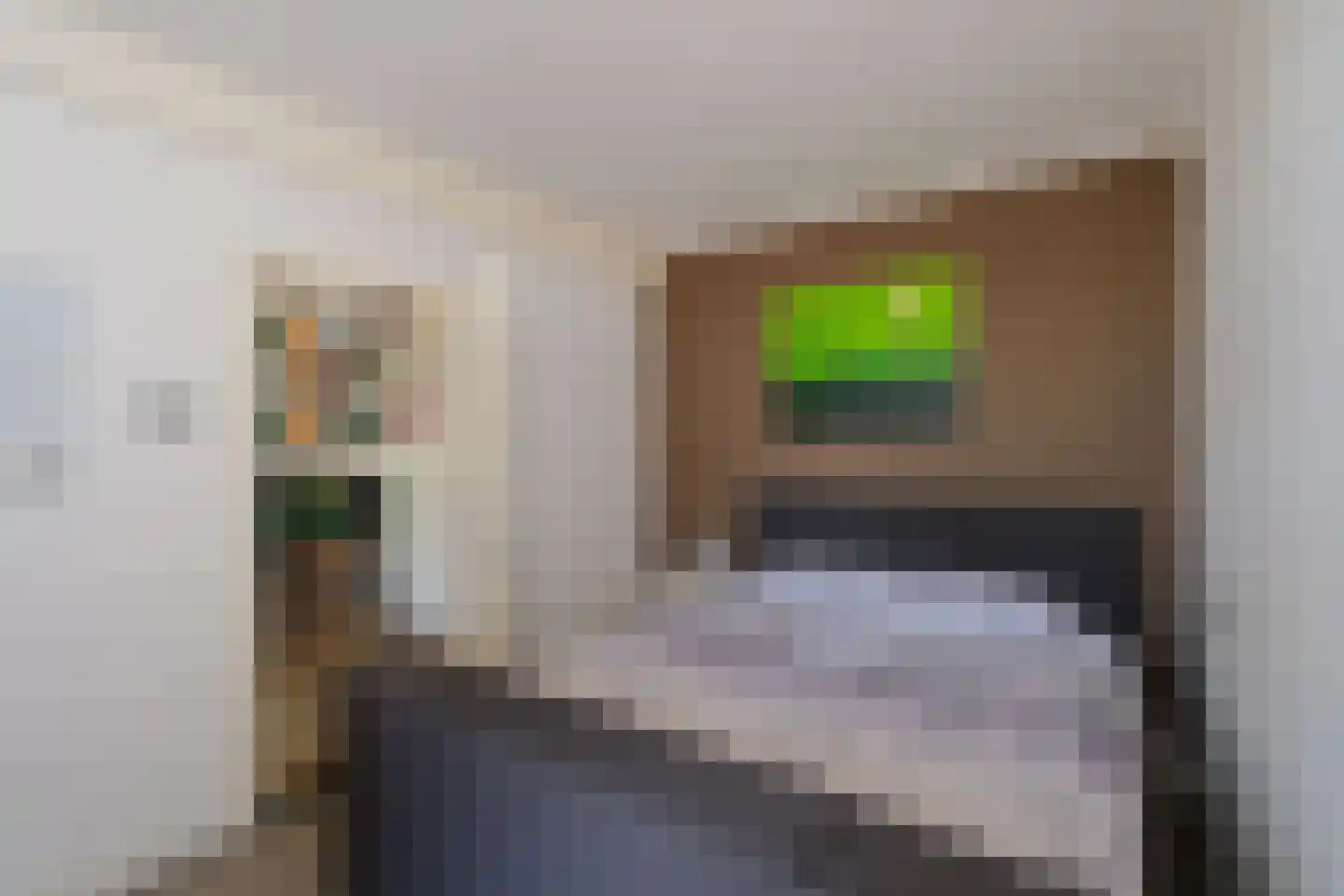 Maasstraat 98 Almelo thumbnail 10