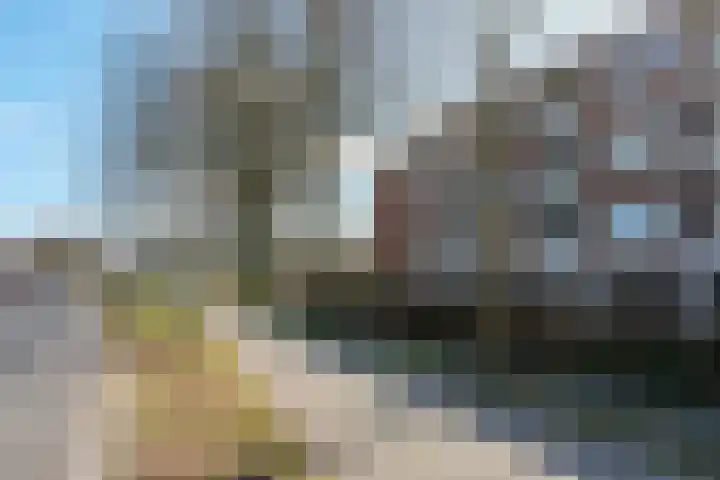 Maasstraat 98 Almelo thumbnail 32
