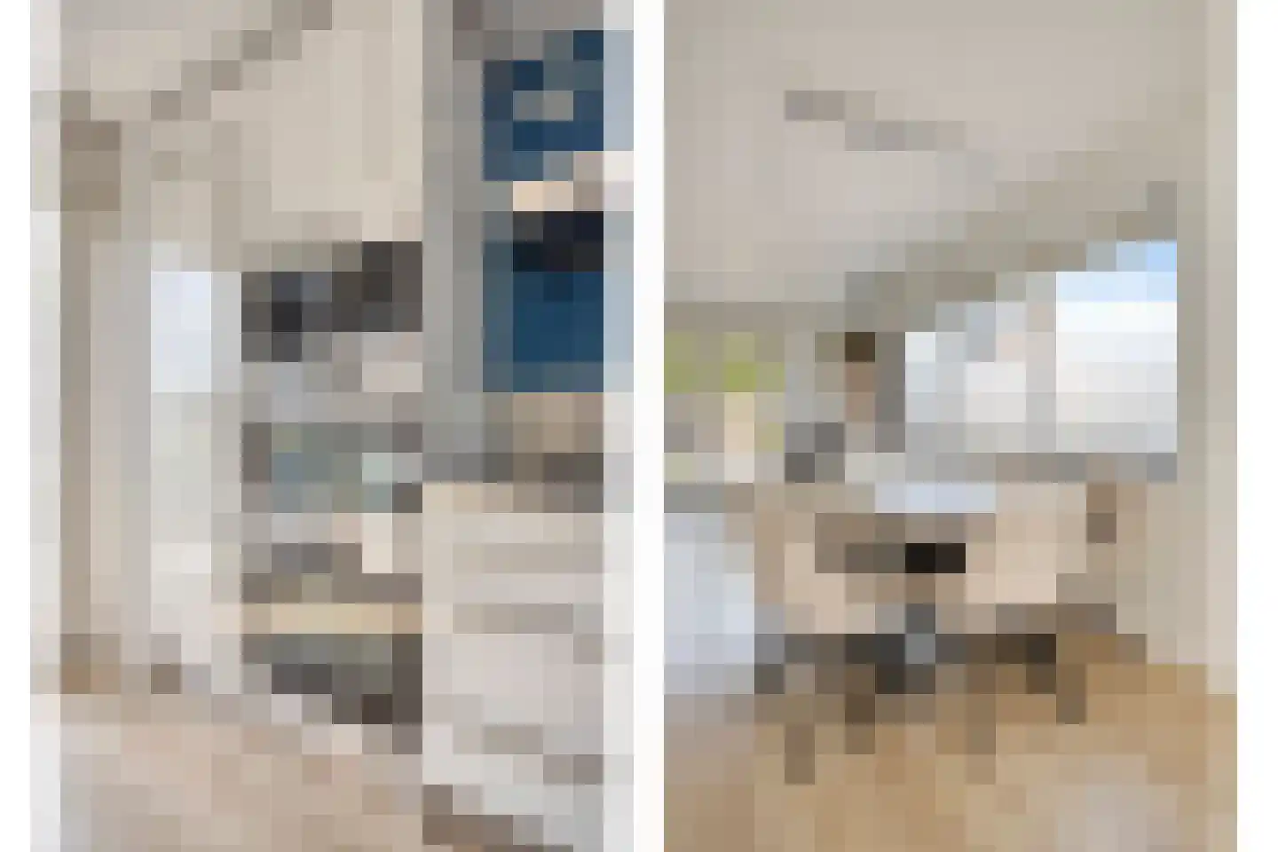 Maasstroom 1 Zoetermeer thumbnail 13