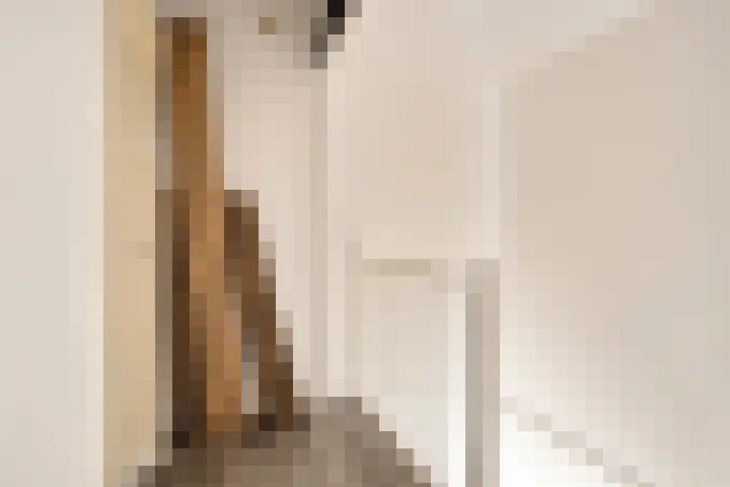 Maasstroom 1 Zoetermeer thumbnail 29
