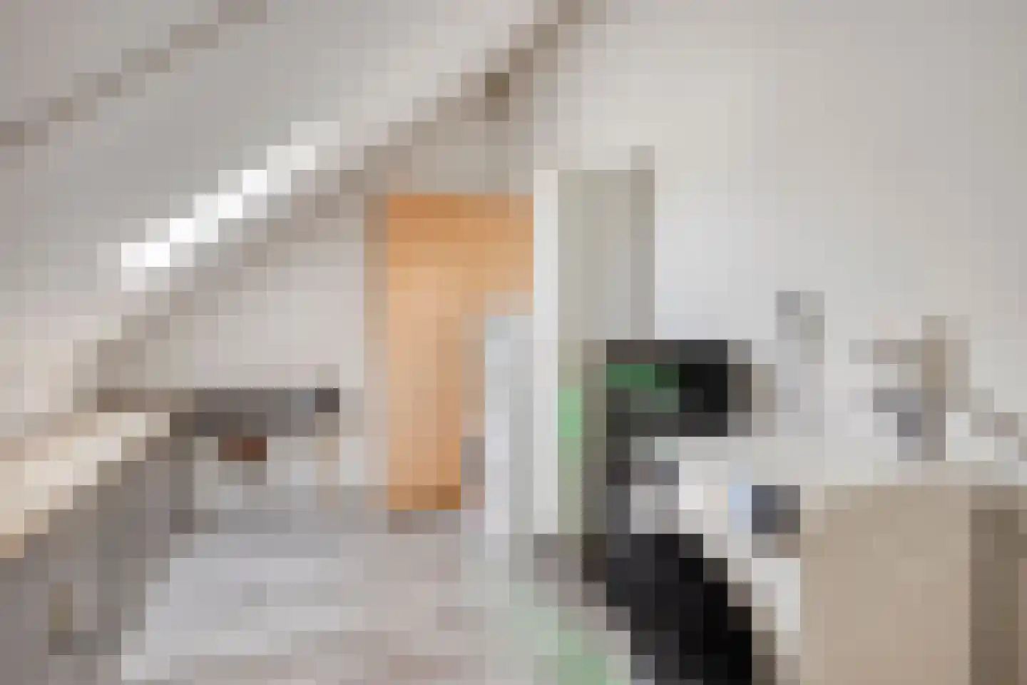 Maasstroom 1 Zoetermeer thumbnail 34