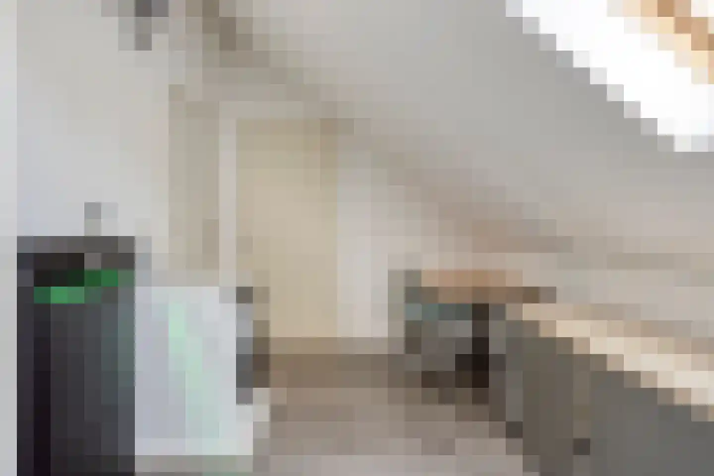 Maasstroom 1 Zoetermeer thumbnail 35