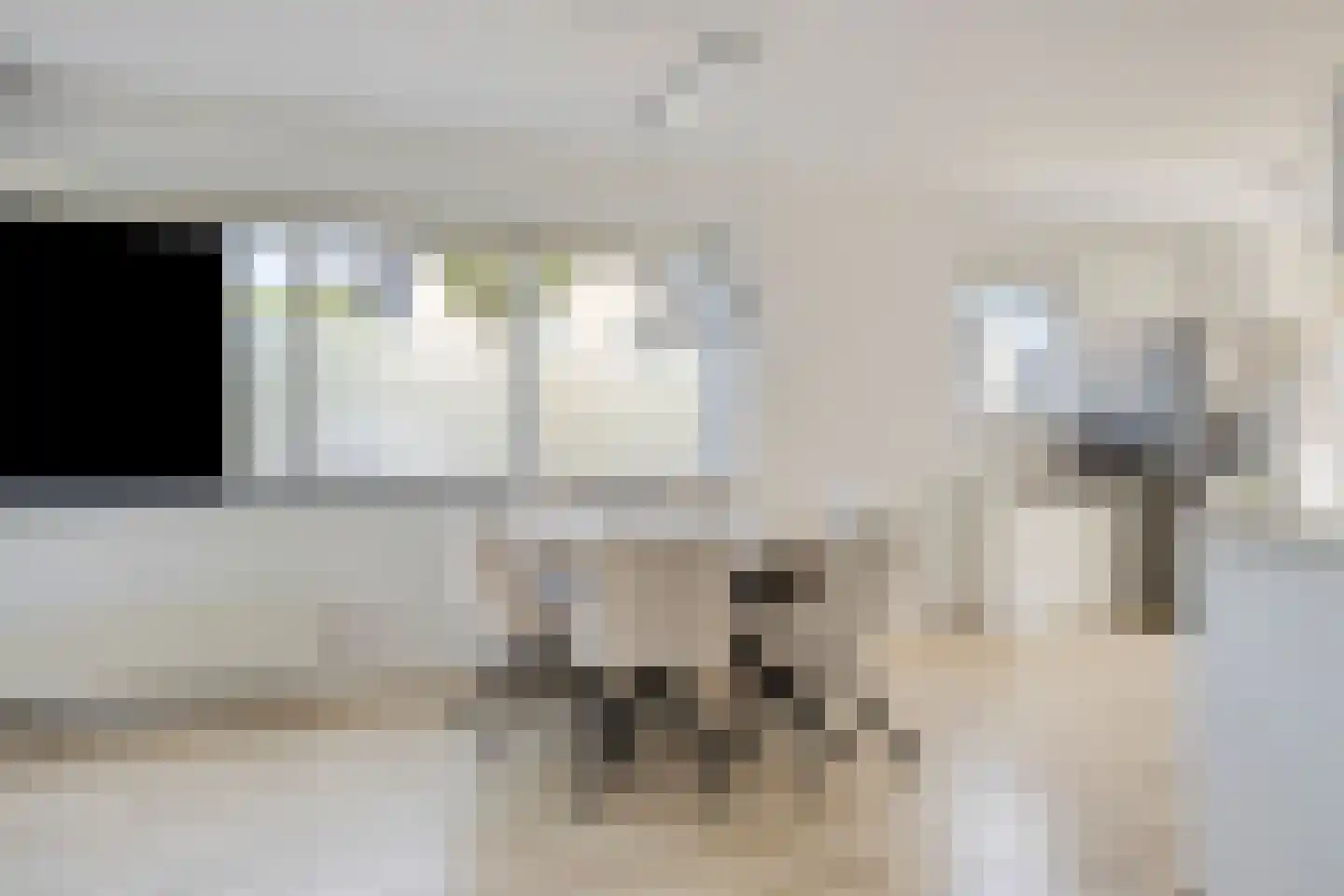 Maasstroom 1 Zoetermeer thumbnail 6