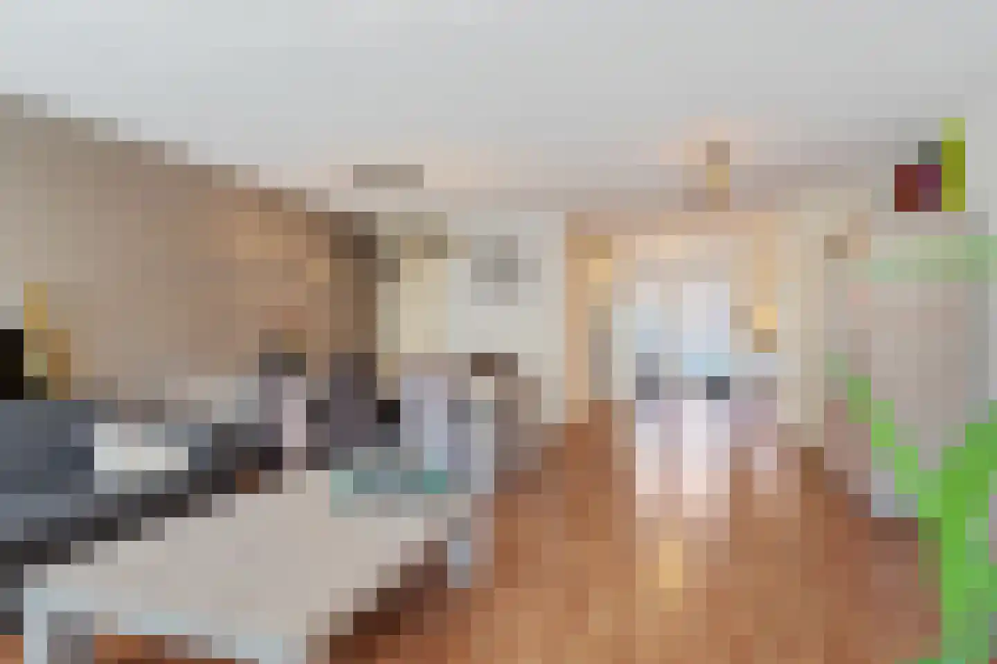Maasstroom 15 Zoetermeer thumbnail 15
