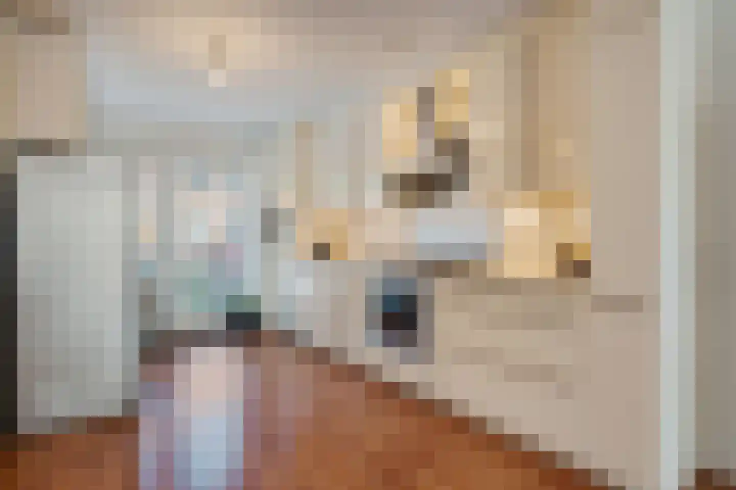 Maasstroom 15 Zoetermeer thumbnail 20