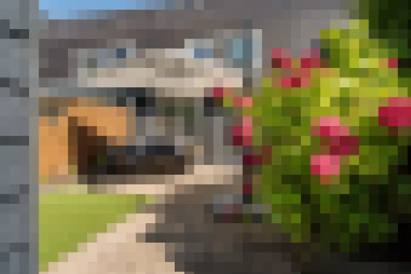 Maasstroom 15 Zoetermeer thumbnail 25