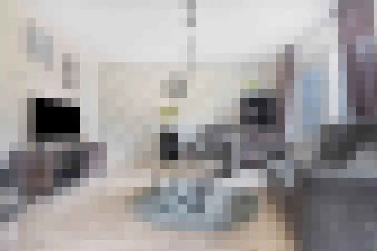 Maasstroom 17 Zoetermeer thumbnail 10