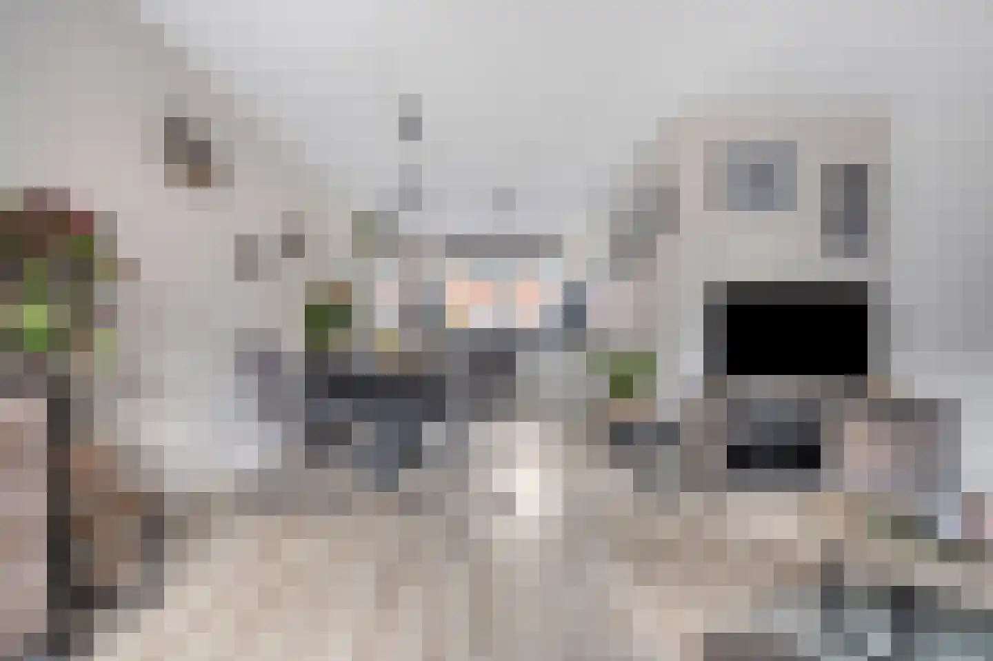 Maasstroom 17 Zoetermeer thumbnail 15