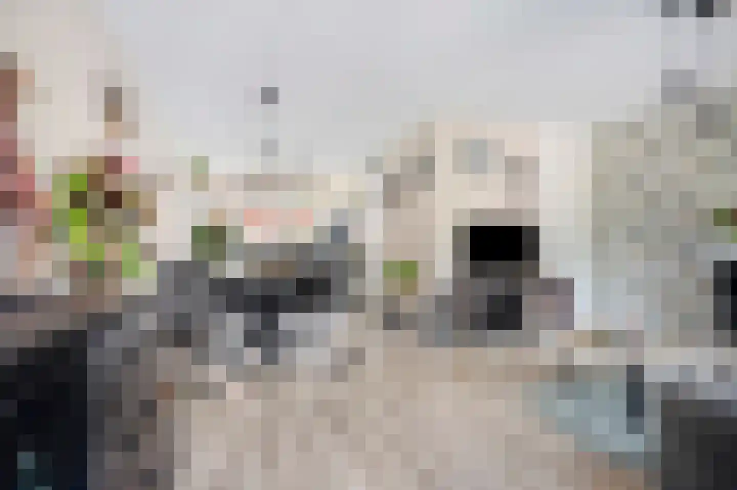 Maasstroom 17 Zoetermeer thumbnail 16
