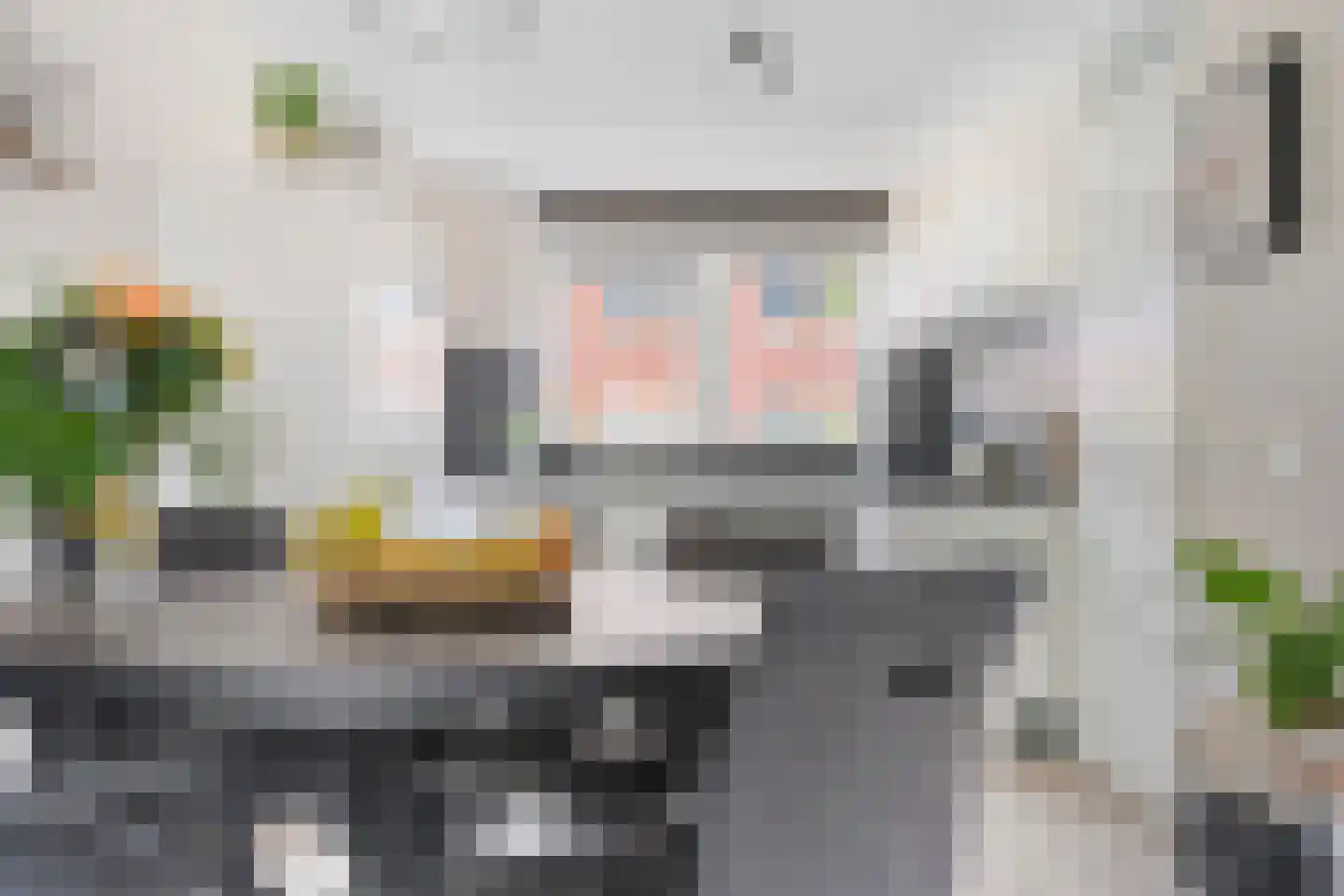 Maasstroom 17 Zoetermeer thumbnail 17