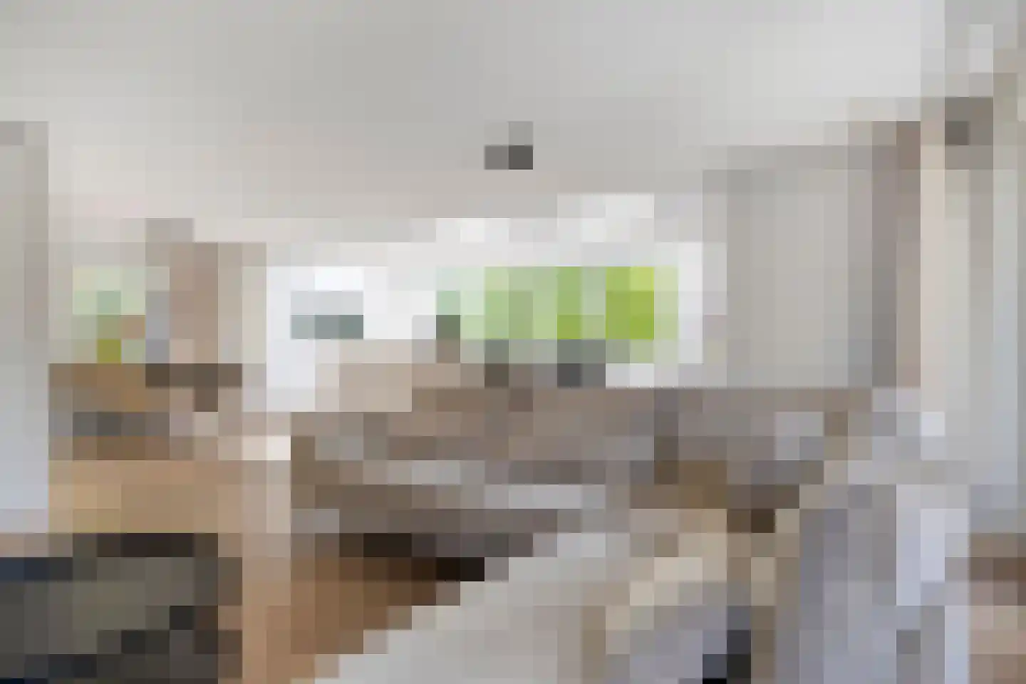 Maasstroom 27 Zoetermeer thumbnail 11