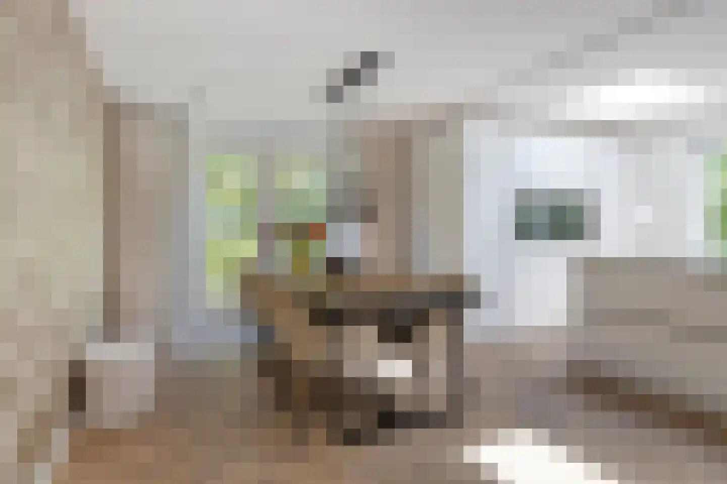 Maasstroom 27 Zoetermeer thumbnail 12
