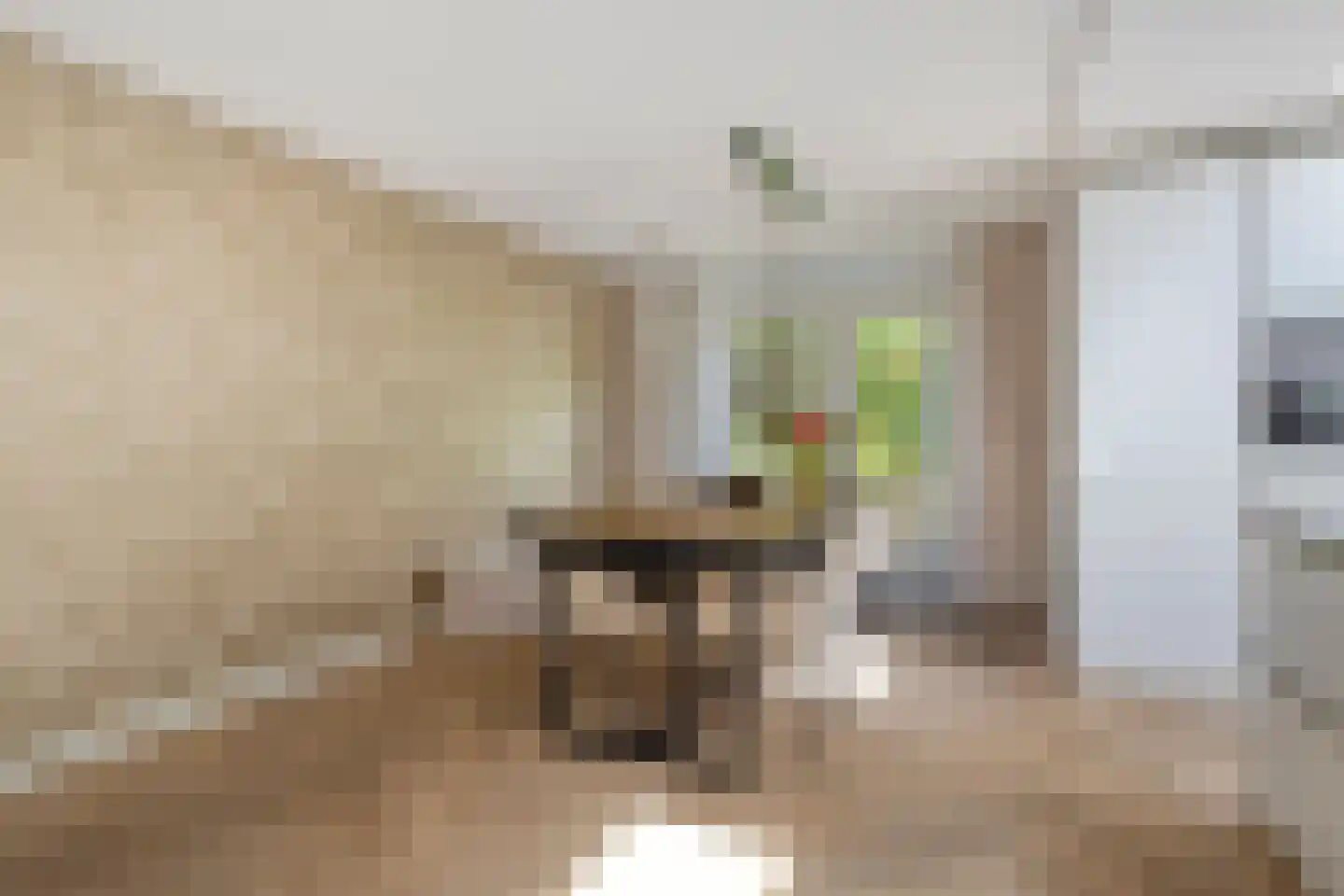 Maasstroom 27 Zoetermeer thumbnail 13
