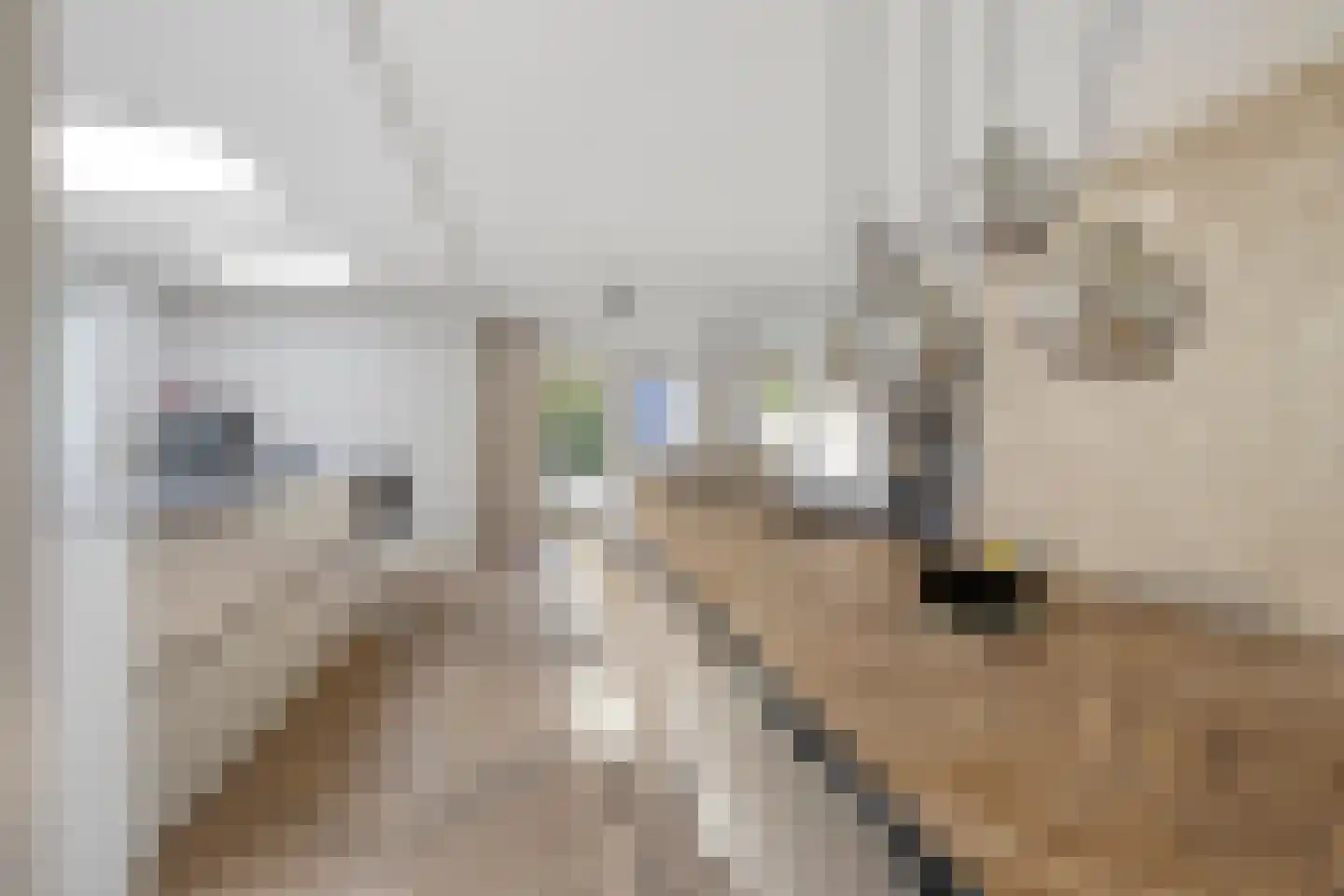 Maasstroom 27 Zoetermeer thumbnail 14